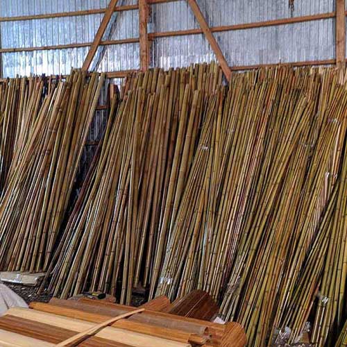 Бамбук натуральный 1-2 см фото