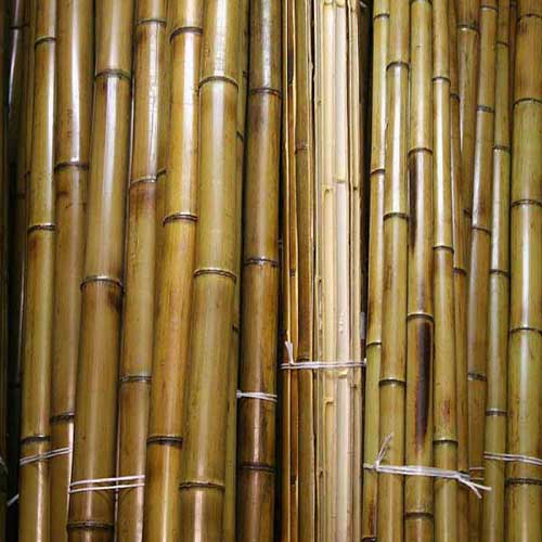 Половинка бамбука в ассортименте