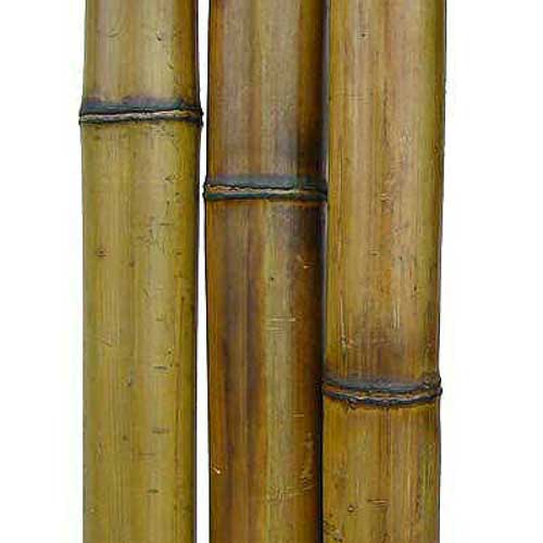 Бамбуковый ствол 5 - 6 см