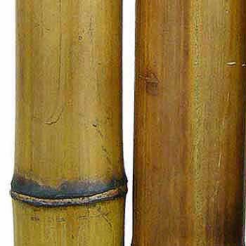 Бамбуковый ствол 7 - 8 см
