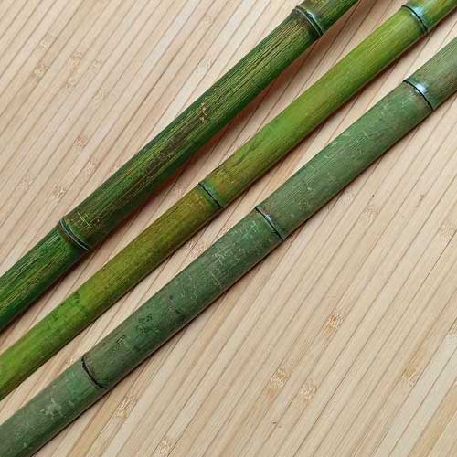 Половинка бамбука зелёная купить