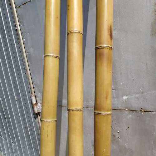 Бамбук ствол стандарт 3 - 4 см