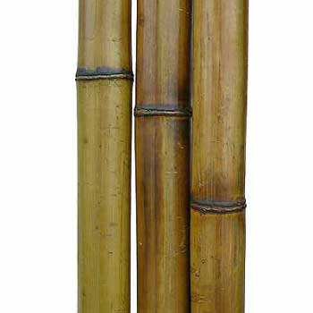 Бамбук ствол стандарт 4 - 5 см