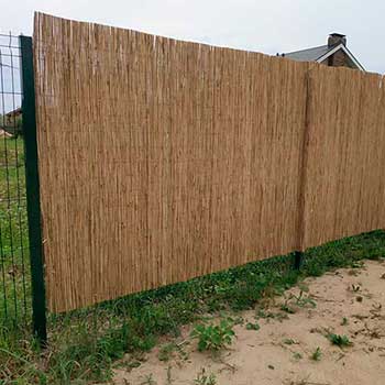 Тростниковый забор 180 x 600 см