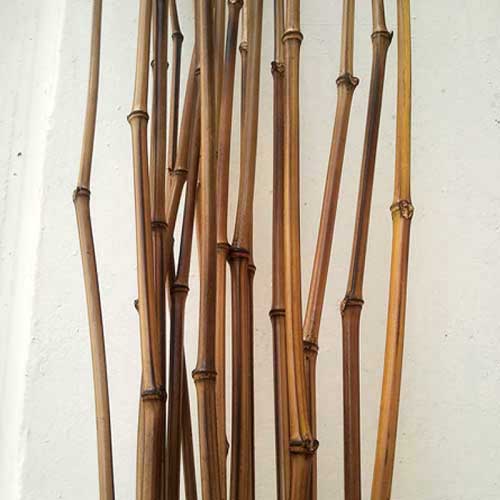 Бамбук удилище натуральное
