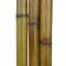 Бамбук ствол стандарт 4 - 5 см
